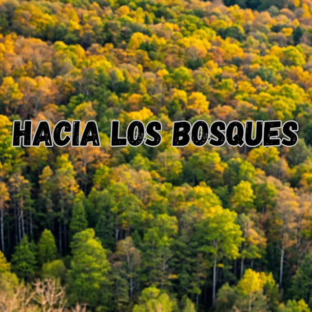 Hacia los Bosques