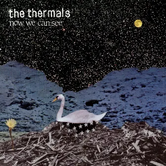 Now We Can See by The Thermals