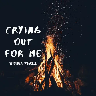 Crying Out for Me by Joshua Perez