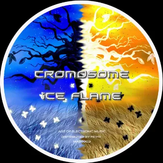 Ice Flame by Cromosome