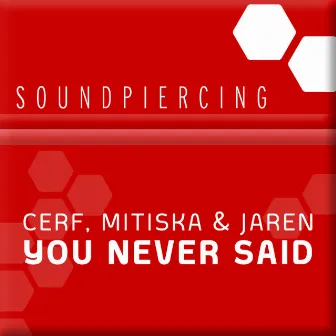 You Never Said by Cerf, Mitiska & Jaren