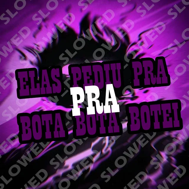 Elas Pediu pra Bota Bota, Botei (Slowed)