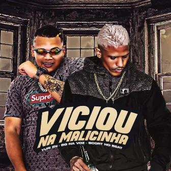 Viciou na Malicinha by BG Na voz