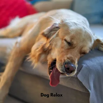 Dog Relax by Music For Dog Relaxation