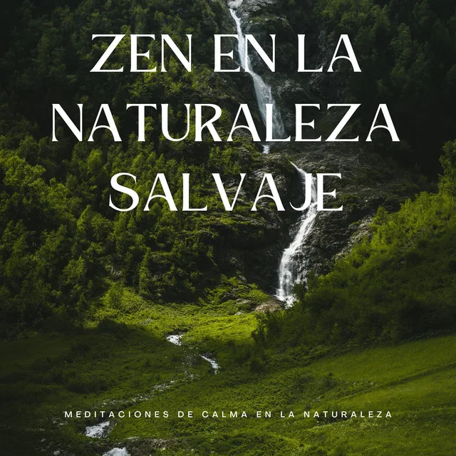 Zen En La Naturaleza Salvaje: Meditaciones De Calma En La Naturaleza