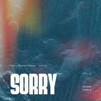 sorry by finks