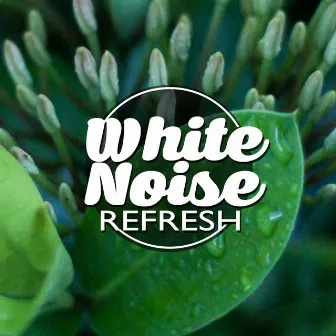 White Noise: Refresh by White Noise Meditation