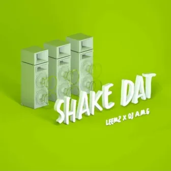 Shake Dat by Leemz