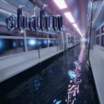 SBahn by Lil Fetus