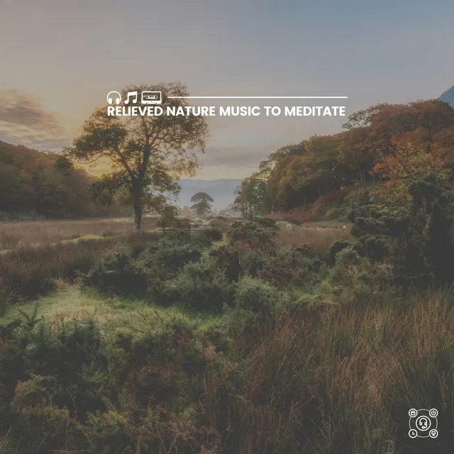 Relieved Nature Music to Meditate