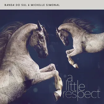 A Little Respect by Banda Do Sul