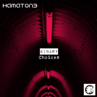 Binary Choices by Hamaton3