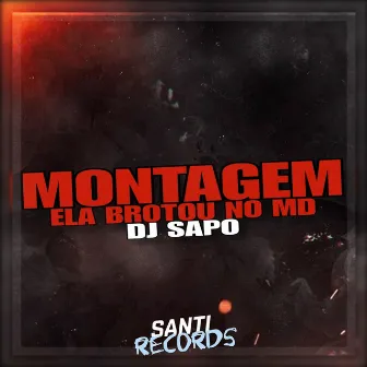 Montagem Ela Brotou no Md by DJ SAPO