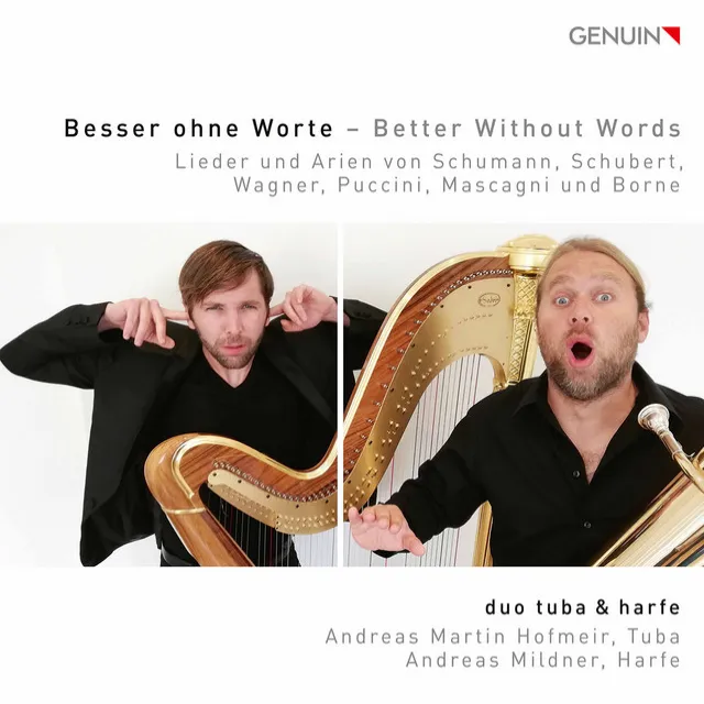 Tannhäuser, WWV 70: Lied an den Abendstern (Arr. A. Mildner & A. Martin for Harp & Tuba)