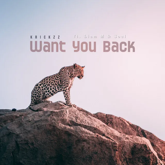 Want You Back