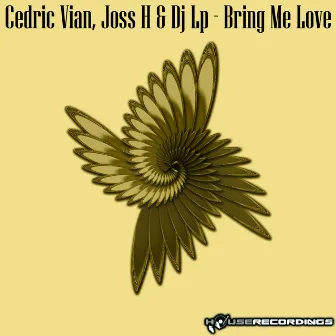 Bring Me Love by Cedric Vian