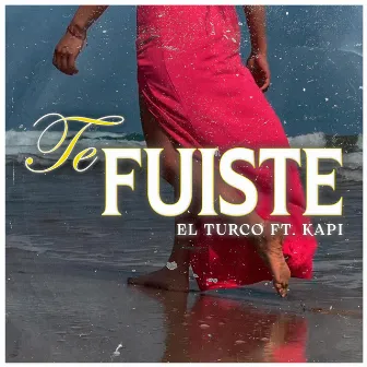 Te fuiste by El Turco