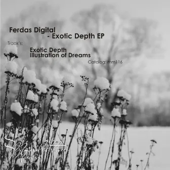 Exotic Depth EP by Ferdas Digital