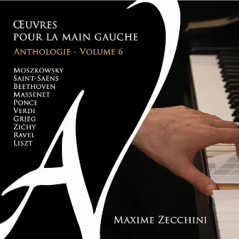 Œuvres pour la main gauche - Anthologie, Vol. 6 by Maxime Zecchini