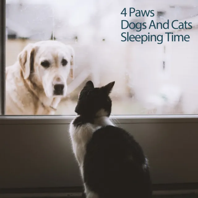 Snoring Music For Cats