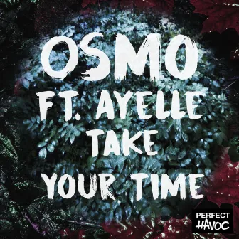 Take Your Time (feat. Ayelle) by Osmo