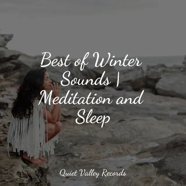 Best of Winter Sounds | Meditation and Sleep