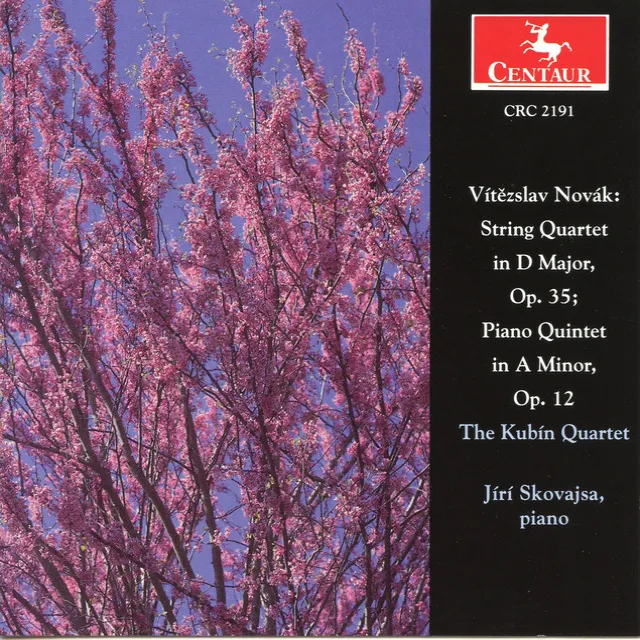 String Quartet in D Major, Op. 35: I. Fuga: Largo misterioso