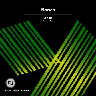 Apsis by Roach