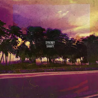 Synergy by Shanti