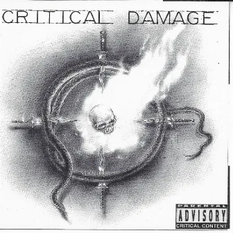 Critical Damage by Critical Damage