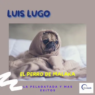 El Perro de Malaka by Luis Lugo