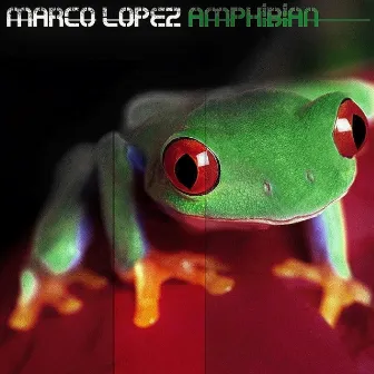 Amphibian by Marco Lopez