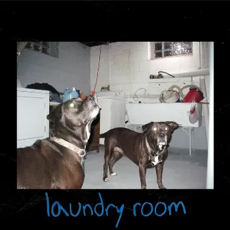 laundry room by Manny Kefalos