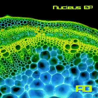 Nucleus - EP by AO