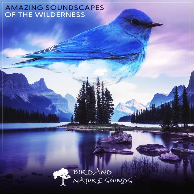 Amazing Soundscapes of the Wilderness