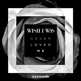 Never Loved Me by Wish I Was