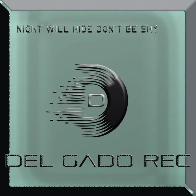 Night Will Hide Don't Be Shy - Tech Vocal Mix