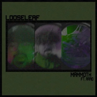 Looseleaf by MAMMOTH.