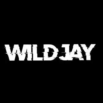 TOUCH IT (Remix) by Wildjay