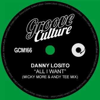 All I Want (Micky More & Andy Tee Mix) by Danny Losito