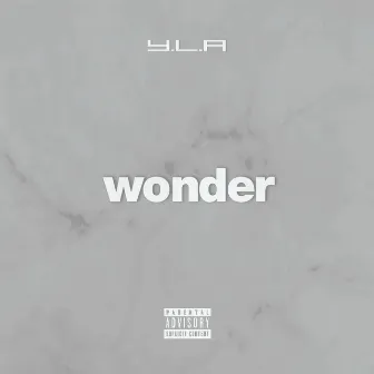 wonder by Y.L.A