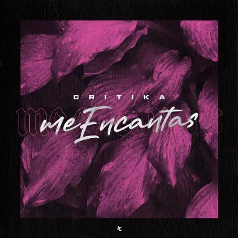 Me Encantas by Critika