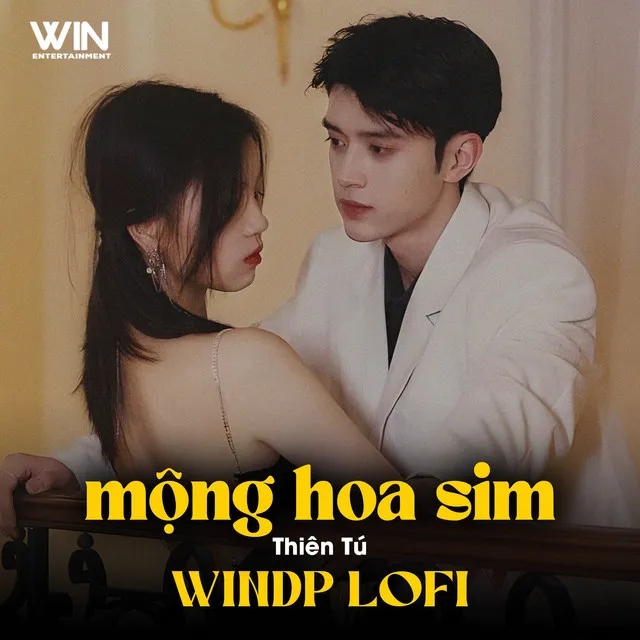 Mộng Hoa Sim - Lofi Version