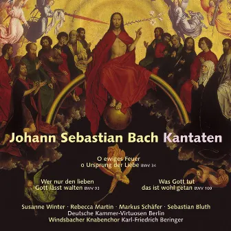 Johann Sebastian Bach: Cantatas / Kantaten BWV 34, BWV 93, BWV 100 by Rebecca Martin