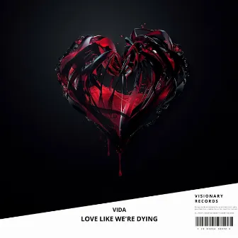 Love Like We're Dying by Vida