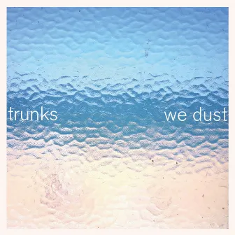 We Dust by Trunks