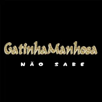 Não Sabe by Gatinha Manhosa