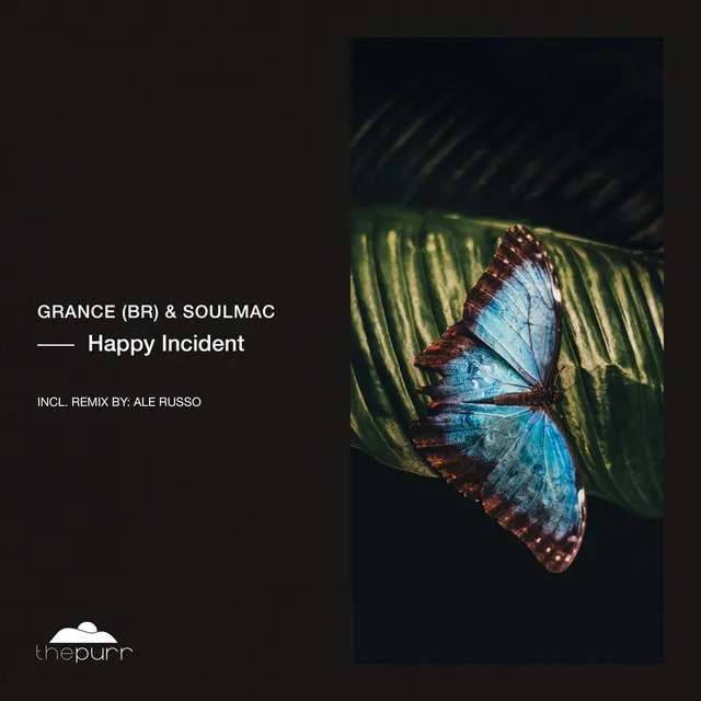 Happy Incident - Ale Russo Remix