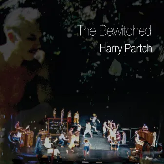 The Bewitched by Danlee Mitchell