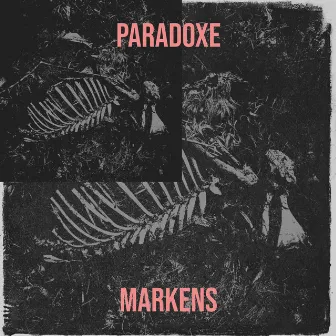 Paradoxe by Markens